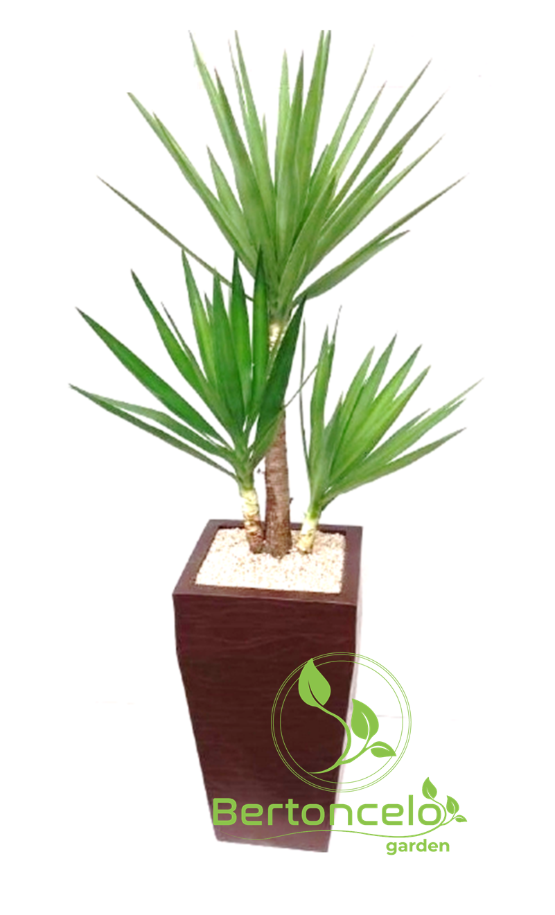 Yucca no vaso mod. Veneza 60×32 c/ Aba Alta em Polietileno